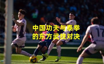 中国功夫与泰拳的东方武技对决