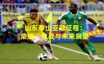 山东泰山亚冠征程：荣耀、挑战与未来展望