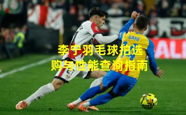 李宁羽毛球拍选购与性能查询指南