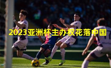2023亚洲杯主办权花落中国