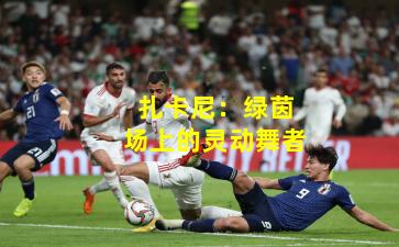 扎卡尼：绿茵场上的灵动舞者