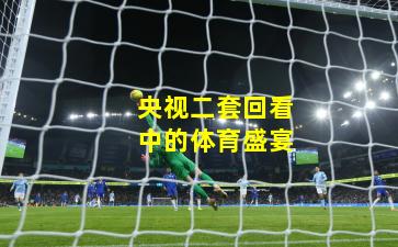 央视二套回看中的体育盛宴